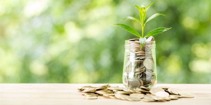 Plant In Jar With Money-jpg