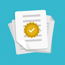 What Funders Notice First in Strong Grant Applications