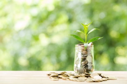 Part 1: What Is Endowment And Are You A Good Fit